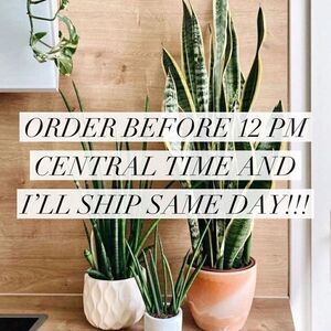 You heard that right!